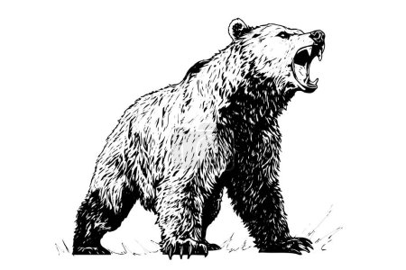 Photo for Ink hand drawing sketch bear mascot or logotype. Vector Illustration in engraving style - Royalty Free Image