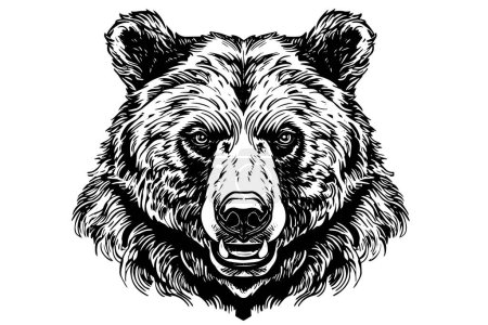 Photo for Ink hand drawing sketch bear mascot or logotype head. Vector Illustration in engraving style - Royalty Free Image