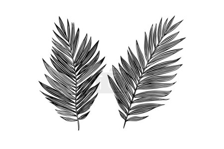 Photo for Exotic tropical leaf hand drawn vector. Botanical leaves engraved ink art - Royalty Free Image
