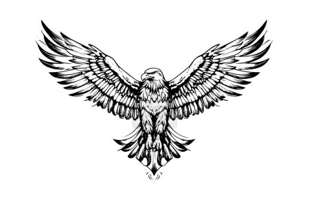 Téléchargez les illustrations : Mascotte de logotype aigle volant en style gravure. Illustration vectorielle de signe ou de marque - en licence libre de droit