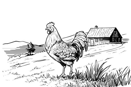 Hühner im Bauernhof-Sketch. Ländliche Landschaft im Vintage-Stil Vektor-Illustration