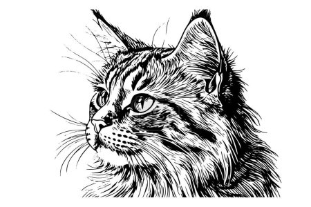 Illustration for Cute cat portrait hand drawn ink sketch engraving vintage style.Vector illustration - Royalty Free Image