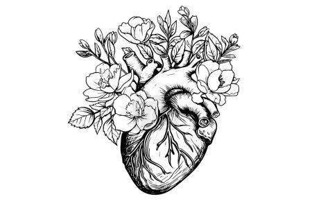 Valentine day card vintage illustration. Floral anatomical heart. Vector illustration