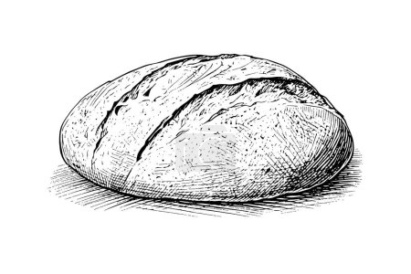 Photo for Loaf of bread. Vector hand drawn vintage engraving style vector illustration - Royalty Free Image