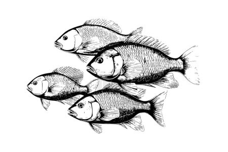 Illustration for Flock of fish hand drawn engraving isolated on white background. Vector sketch illustration - Royalty Free Image