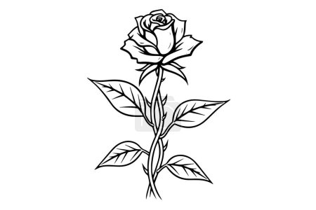 Ilustración de Elegante Rose. Arte de línea simple vintage. Dibujo de tinta dibujado a mano. Ilustración vectorial grabado - Imagen libre de derechos
