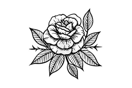 Ilustración de Elegante Rose. Arte de línea simple vintage. Dibujo de tinta dibujado a mano. Ilustración vectorial grabado - Imagen libre de derechos