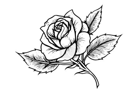 Téléchargez les illustrations : Élégante Rose. Art de ligne simple vintage. Croquis d'encre dessiné à la main. Illustration vectorielle de gravure - en licence libre de droit