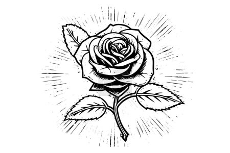Téléchargez les illustrations : Élégante Rose. Art de ligne simple vintage. Croquis d'encre dessiné à la main. Illustration vectorielle de gravure - en licence libre de droit