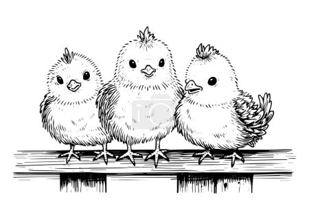 Ilustración de Lindo boceto de tinta dibujada a mano de pollo. Estilo grabado ilustración vectorial retro - Imagen libre de derechos