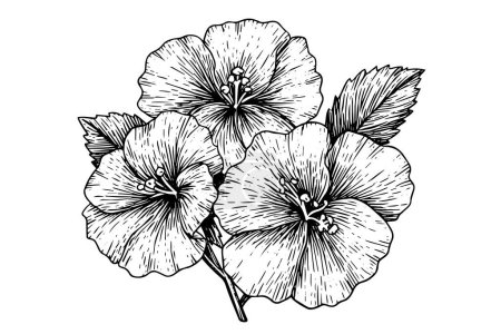 Photo for Hibiscus flower hand drawn ink sketch. Engraved style vector illustration - Royalty Free Image