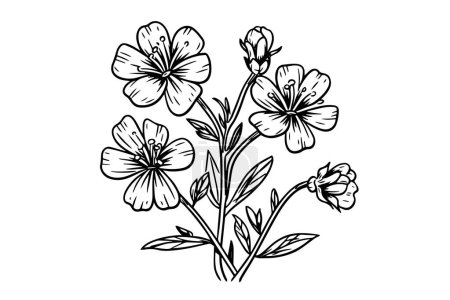 Photo for Wild flower hand drawn ink sketch. Engraved retro style vector illustration - Royalty Free Image