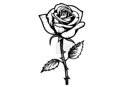 Photo for Rose flower hand drawn ink sketch. Engraving style vector illustration - Royalty Free Image