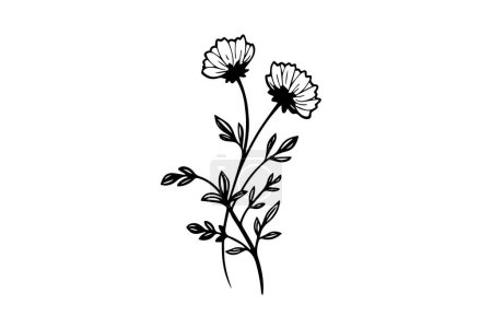 Photo for Hand drawn ink sketch of meadow wild flower. Engraved style vector illustration - Royalty Free Image