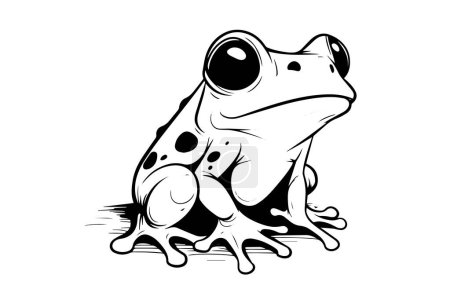 Cute frog or toad, animal art. Vintage vector drawing, etching illustration