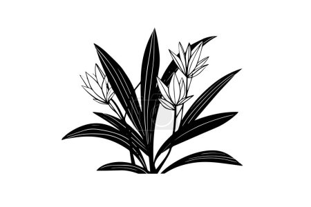Hand-drawn ink sketch of minimal plant, black forts for graphic design. Engraved style vector illustration