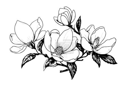 Téléchargez les illustrations : Magnolia fleur dessinée à la main sketc encre. Illustration vectorielle gravée de style rétro - en licence libre de droit
