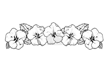 Téléchargez les illustrations : Croquis à l'encre dessinée à la main sur la bordure des fleurs d'Hibiscus. Illustration vectorielle de style gravé - en licence libre de droit