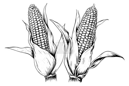 Téléchargez les illustrations : Vintage Corn Illustration: Hand-Drawn Woodcut Vector Sketch of Maize Ear - en licence libre de droit