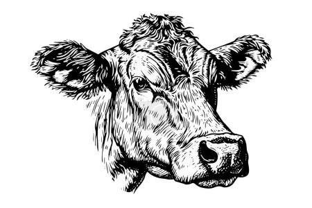 Vintage Vector Hand-Drawn Sketch of a Cows Head: Retro Illustration of Dairy Farm Icon