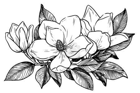 Magnolienblüten handgezeichnete Tuschskizzen. Gravierte Vektorillustration im Retro-Stil