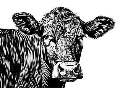 Vintage Vector Hand-Drawn Sketch of a Cows Head: Retro Illustration of Dairy Farm Icon