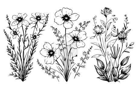 Photo for Hand drawn ink sketch of meadow wild flower set. Engraved style vector illustration - Royalty Free Image