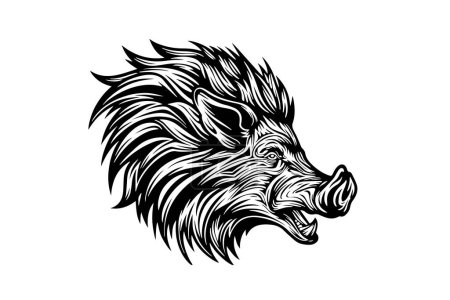 Boar or wild pig head drawing ink sketch, vintage engraved style vector illustration