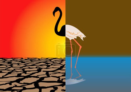 Photo for Drought vs water, wetland. Black silhouette of flamingo on cracked ground and background sun vs flamingo in wetland. climate crisis. Climate change. Heat wave. Natural disaster - Royalty Free Image