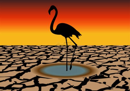 Photo for Black silhouette of a flamingo in a puddle in the middle of the drought. A puddle in the drought. Heat wave. Global warming. Climate change. Hope in the drought. wildlife and drought - Royalty Free Image
