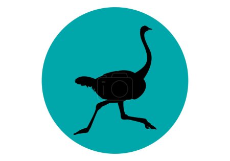 Photo for Icon of a black silhouette of running ostrich - Royalty Free Image