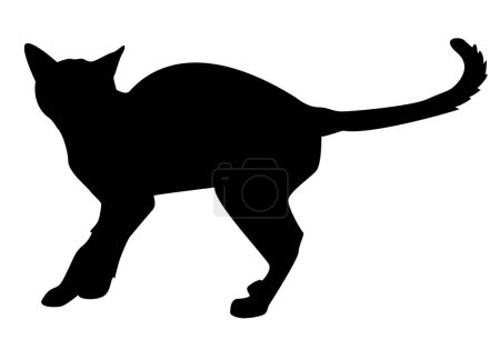 Photo for Alert cat icon. feline pet - Royalty Free Image