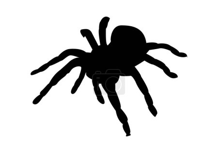 Photo for Tarantula or spider or insect or bug icon - Royalty Free Image