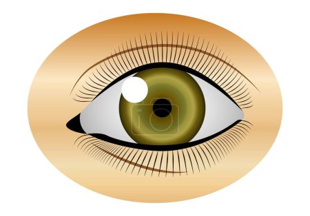 Photo for Eye. The sense of sight. Iris. Ophthalmology - Royalty Free Image