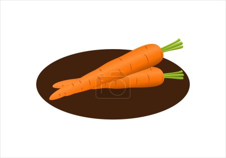 Photo for Plate with 2 carrots. Mediterranean diet. Vegan or vegetarian diet - Royalty Free Image
