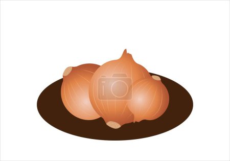 Photo for Onions icon. Diuretic diet - Royalty Free Image