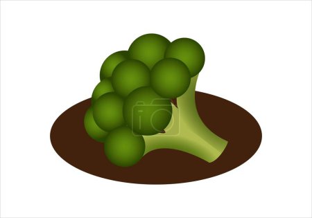Photo for Broccoli icon. Mediterranean diet - Royalty Free Image