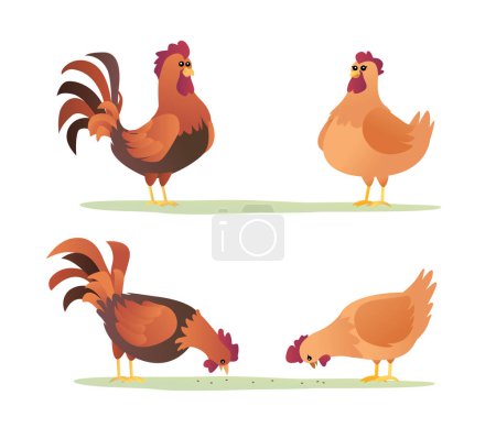 Téléchargez les illustrations : Ensemble de coqs et de poules dessin animé. Caractères de poulet dans différentes poses illustration vectorielle - en licence libre de droit