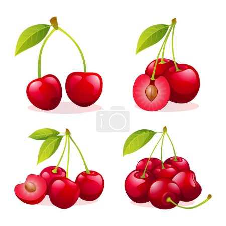 Illustration for Set of fresh cherry illustrations isolated on white background - Royalty Free Image