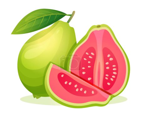 Set of fresh guava whole and half cut with leaf illustration isolated on white background