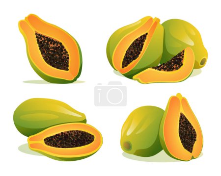 Illustration for Set of fresh whole and half cut papaya illustration isolated on white background - Royalty Free Image