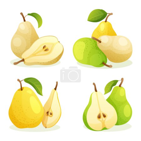 Illustration for Set of various fresh pear fruits whole and half cut illustration isolated on white background - Royalty Free Image