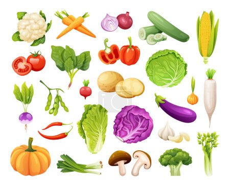 Téléchargez les illustrations : Ensemble d'illustrations vectorielles de légumes biologiques - en licence libre de droit