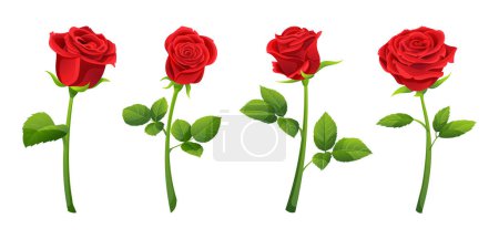 Téléchargez les illustrations : Ensemble d'illustration vectorielle de fleurs roses rouges - en licence libre de droit