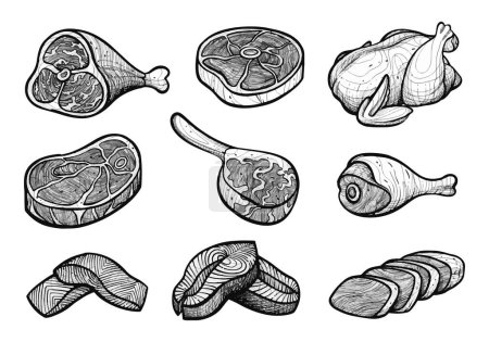 Téléchargez les illustrations : Ensemble de croquis de bœuf cru, poulet et saumon dessinés à la main illustration - en licence libre de droit
