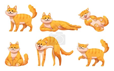 Conjunto de gato lindo en varias poses ilustración de dibujos animados
