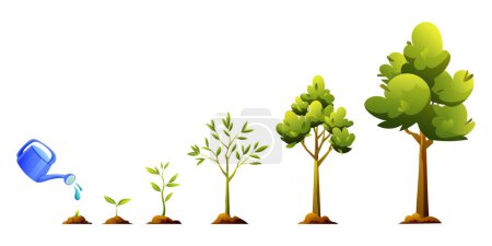 Téléchargez les illustrations : Croissance des arbres et étapes de développement illustration de dessin animé. Cycle de vie de la plante - en licence libre de droit