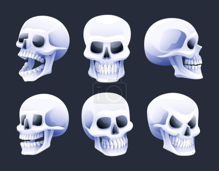 Illustration for Collection of skull heads vector illustration - Royalty Free Image