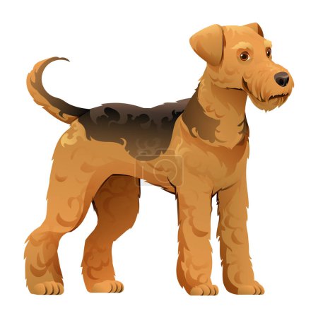 Téléchargez les illustrations : Airedale terrier chien vecteur dessin animé illustration - en licence libre de droit