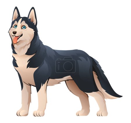 Téléchargez les illustrations : Illustration de dessin animé vectoriel chien husky sibérien - en licence libre de droit